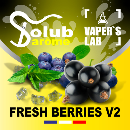Фото, Solub Arome Fresh Berries v2 Черника смородина мята ментол