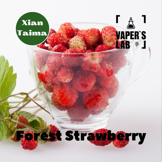 Відгук на ароматизатор Xi'an Taima Forest Strawberry Суниця