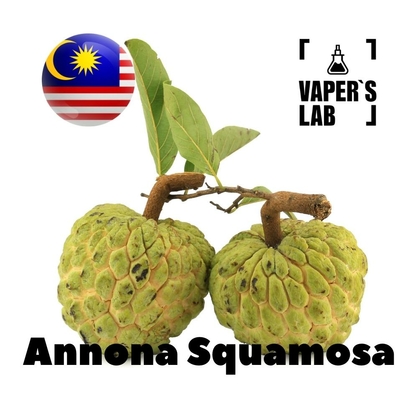 Фото, Відео ароматизатори Malaysia flavors Annona squamosa