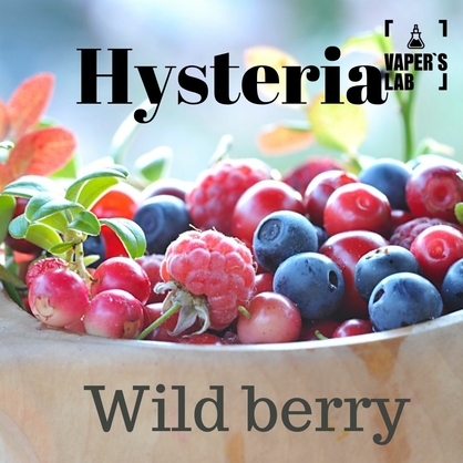 Фото Жидкость для электронных сигарет Hysteria Wild berry 100 ml
