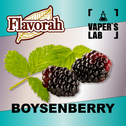 Фото на аромку Flavorah Boysenberry Бойзенова ягода
