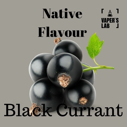 Фото, Видео на Заправку для вейпа Native Flavour Black Currant 100 ml