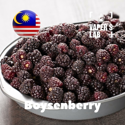 Фото, Видео, ароматизаторы Malaysia flavors Boysenberry