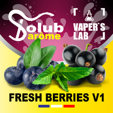 Ароматизатори для вейпа Solub Arome Fresh Berries v1 Чорниця смородина м'ята ментол