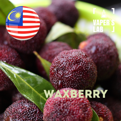 Фото, Відео ароматизатори Malaysia flavors Waxberry