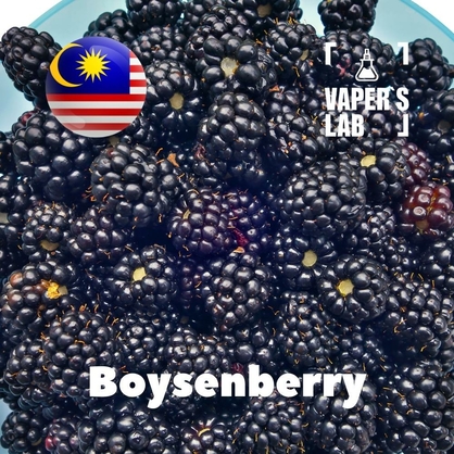Фото, Відео ароматизатори Malaysia flavors Boysenberry