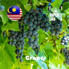Ароматизаторы для вейпа Malaysia flavors "Grape"