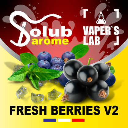 Фото, Solub Arome Fresh Berries v2 Черника смородина мята ментол