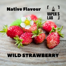 Аромки для вейпа, для самозамеса Native Flavour Wild Strawberry 30мл