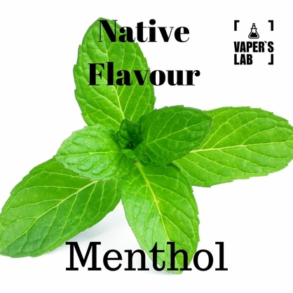 Фото, жижи для вейпа Native Flavour Menthol 100 ml