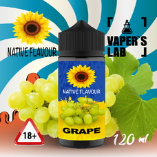  Native Flavour Grape 120