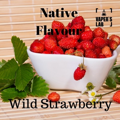 Фото Жижа для вейпа Native Flavour Wild Strawberry 100 ml