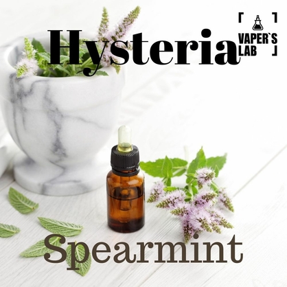 Фото, Видео на Жидкости для вейпов Hysteria Spearmint 100 ml