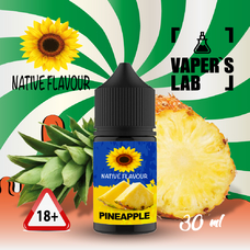  Native Flavour Salt Pineapple 30