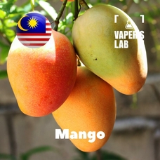 Aroma Malaysia flavors Mango