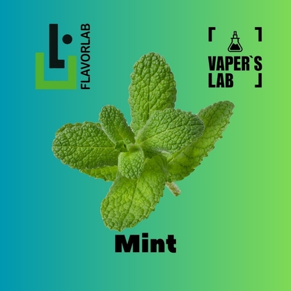 Фото, Відео на Ароматизатори Flavor Lab Mint 10 мл