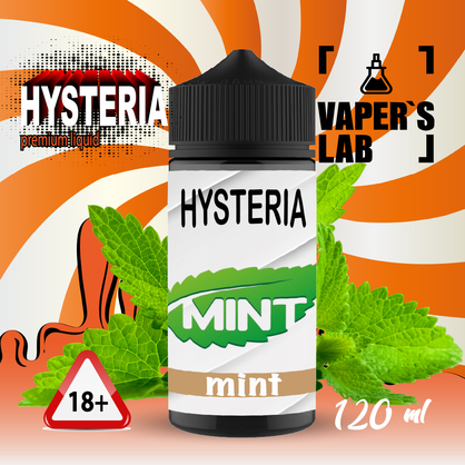 Фото жижа для електронних сигарет hysteria mint 100 ml