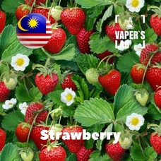 Премиум ароматизатор для самозамеса Malaysia flavors Strawberry