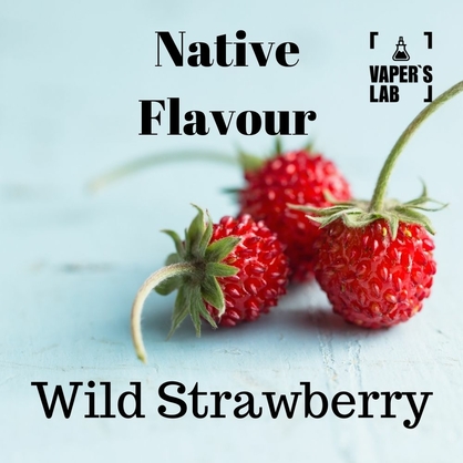Фото купити жижу для пода без нікотину native flavour wild strawberry