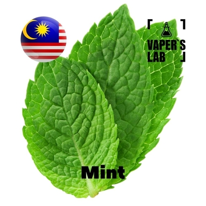 Фото, Відео ароматизатори Malaysia flavors Mint