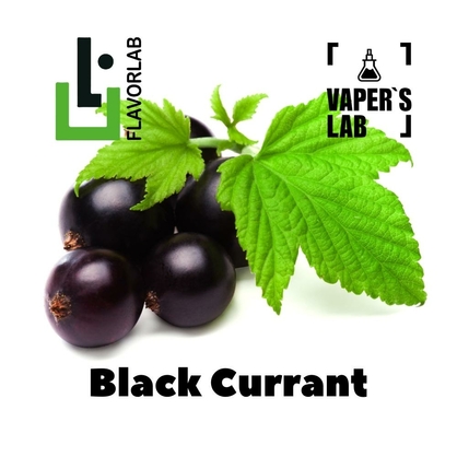 Фото, Відео на Ароматизатори Flavor Lab Black Currant 10 мл